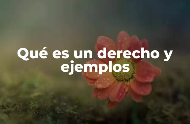 Qué es un Derecho y Ejemplos 2 La importancia de los derechos en la sociedad moderna