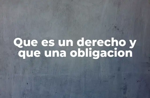 La relación entre derechos y obligaciones en la vida cotidiana
