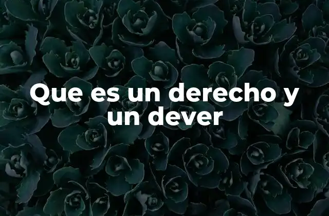 Que es un Derecho y un Dever
