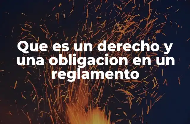 Que es un Derecho y una Obligacion en un Reglamento