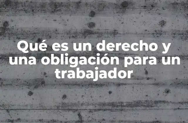 Qué es un Derecho y una Obligación para un Trabajador