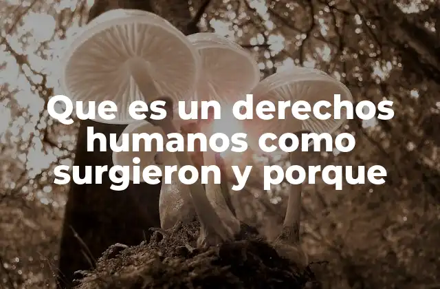 La evolución histórica de los derechos humanos