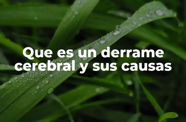 Que es un Derrame Cerebral y Sus Causas