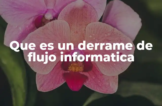 Que es un Derrame de Flujo Informatica