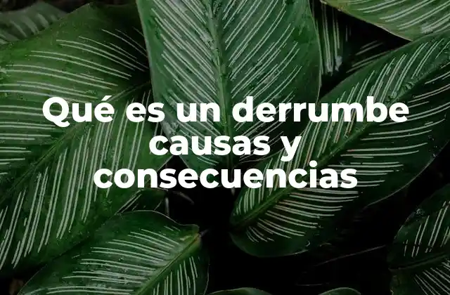 Qué es un Derrumbe Causas y Consecuencias