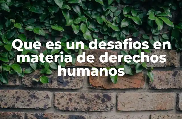 Que es un Desafios en Materia de Derechos Humanos