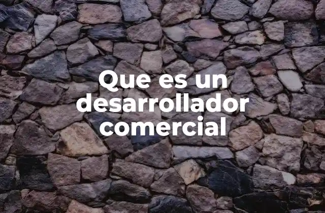 Que es un Desarrollador Comercial
