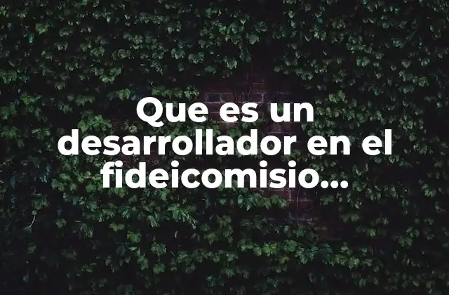 Que es un Desarrollador en el Fideicomisio Nmobiliario