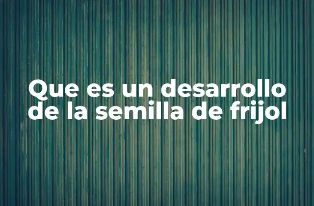 Que es un Desarrollo de la Semilla de Frijol 2 El proceso de transformación desde la semilla hasta la planta madura