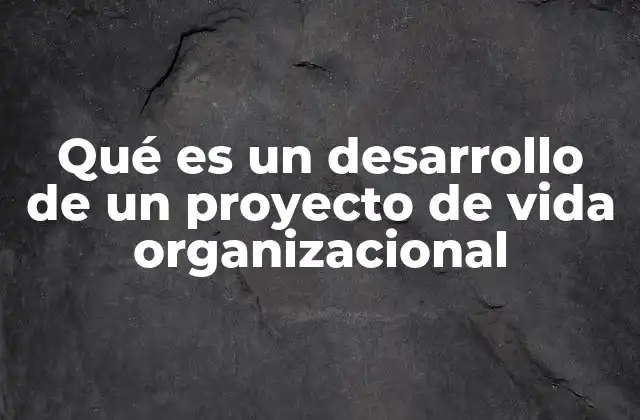 Qué es un Desarrollo de un Proyecto de Vida Organizacional 2 La importancia de alinear metas personales y organizacionales