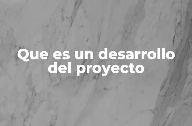 Que es un Desarrollo Del Proyecto