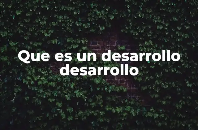 Que es un Desarrollo Desarrollo
