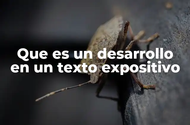 La importancia de la estructura en el desarrollo de un texto