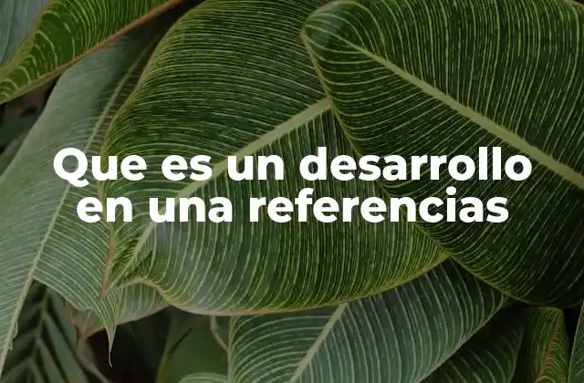 Que es un Desarrollo en una Referencias