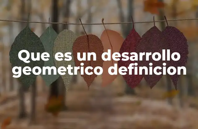 Que es un Desarrollo Geometrico Definicion