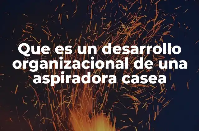 Que es un Desarrollo Organizacional de una Aspiradora Casea