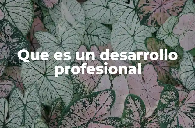 Que es un Desarrollo Profesional