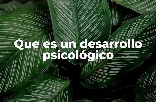 Que es un Desarrollo Psicológico