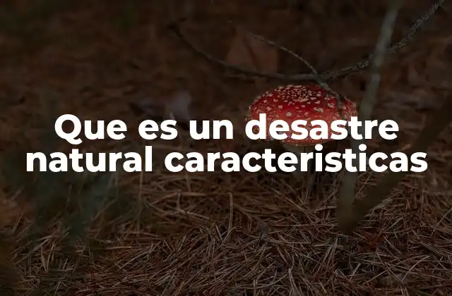 Que es un Desastre Natural Caracteristicas