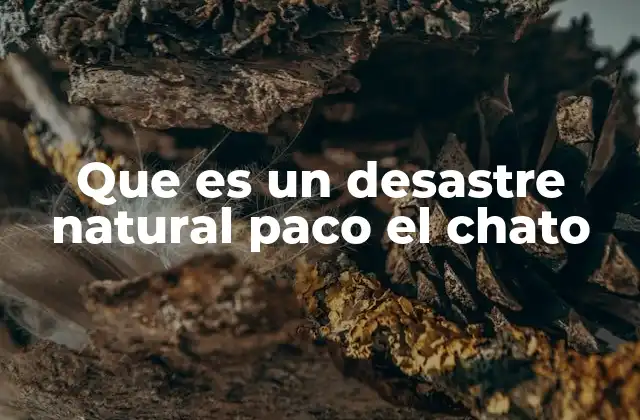 Que es un Desastre Natural Paco el Chato