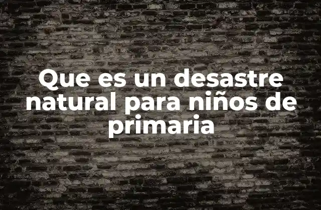 Que es un Desastre Natural para Niños de Primaria