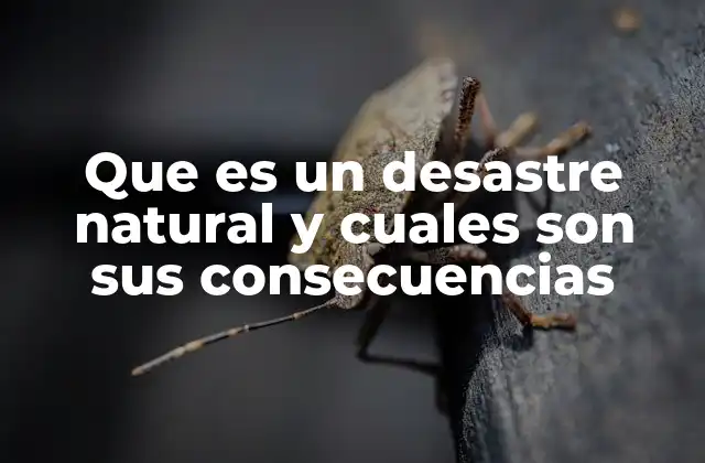 Que es un Desastre Natural y Cuales Son Sus Consecuencias