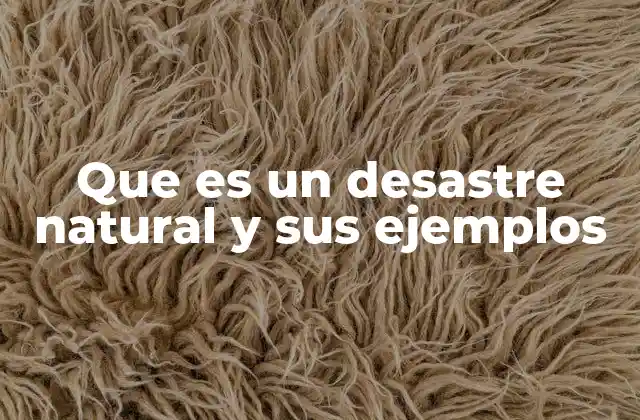 Que es un Desastre Natural y Sus Ejemplos