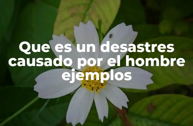 Que es un Desastres Causado por el Hombre Ejemplos