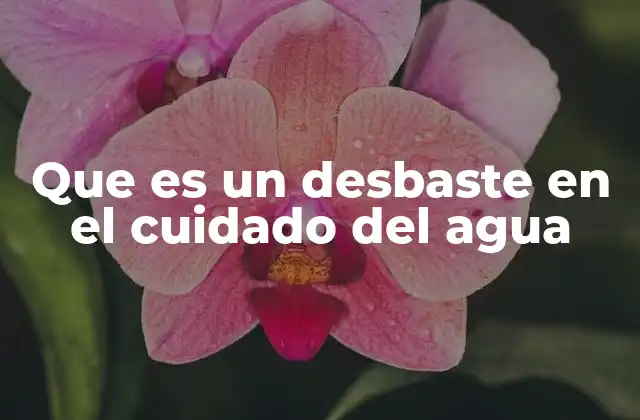 Que es un Desbaste en el Cuidado Del Agua