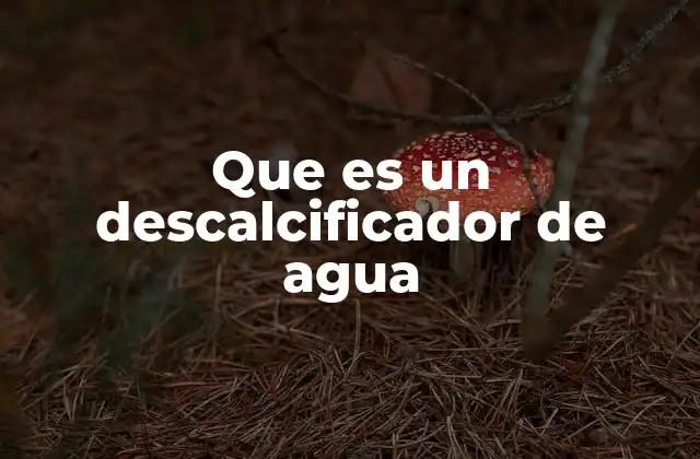 Que es un Descalcificador de Agua