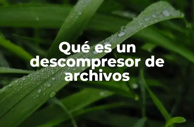 Qué es un Descompresor de Archivos
