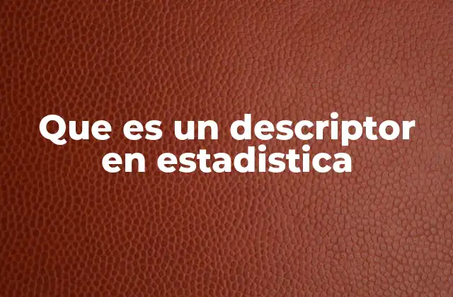 Que es un Descriptor en Estadistica