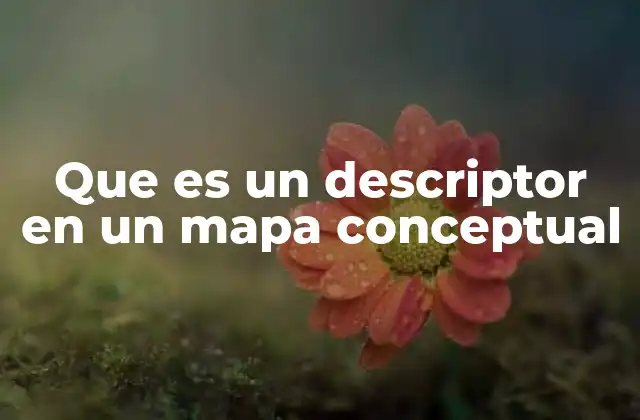 Que es un Descriptor en un Mapa Conceptual