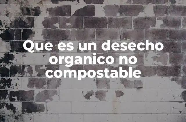 Que es un Desecho Organico No Compostable