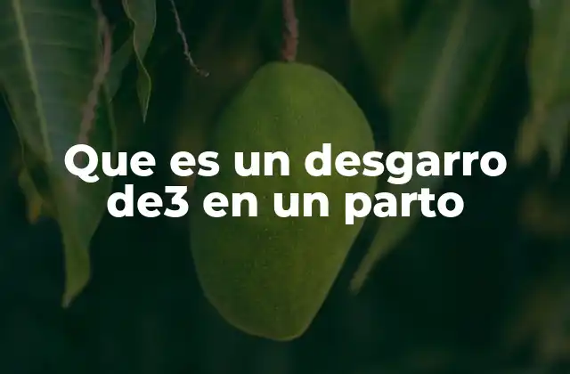 Que es un Desgarro De3 en un Parto