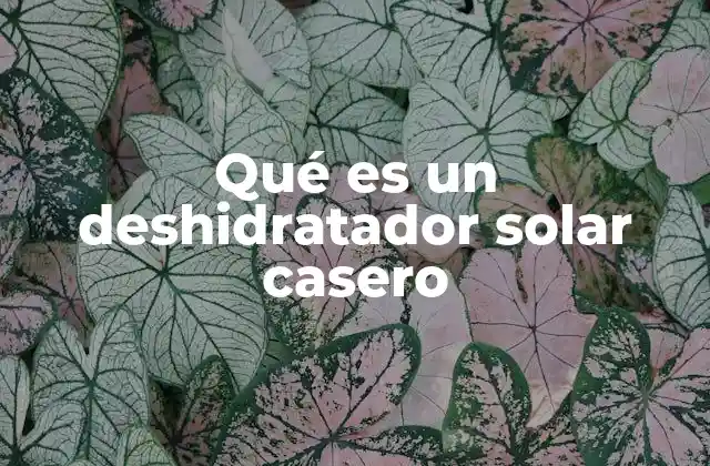 Qué es un Deshidratador Solar Casero