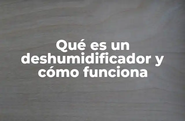 Qué es un Deshumidificador y Cómo Funciona