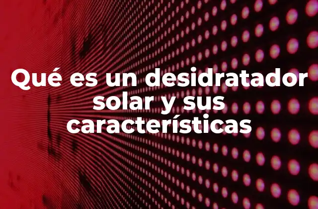 Qué es un Desidratador Solar y Sus Características