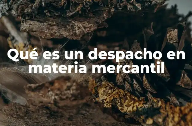 Qué es un Despacho en Materia Mercantil