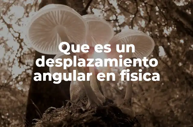 Que es un Desplazamiento Angular en Fisica