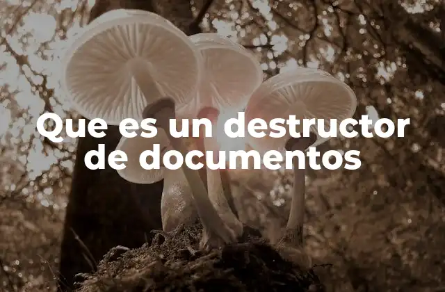 Que es un Destructor de Documentos