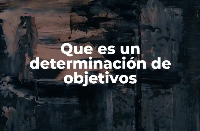 Que es un Determinación de Objetivos