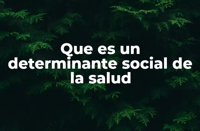 Que es un Determinante Social de la Salud