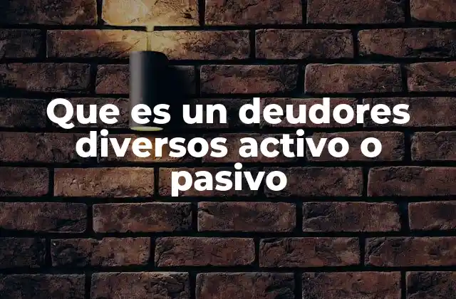 Que es un Deudores Diversos Activo o Pasivo