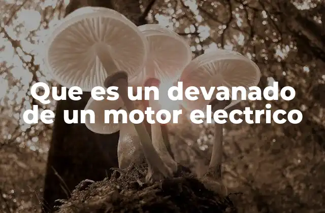 Que es un Devanado de un Motor Electrico