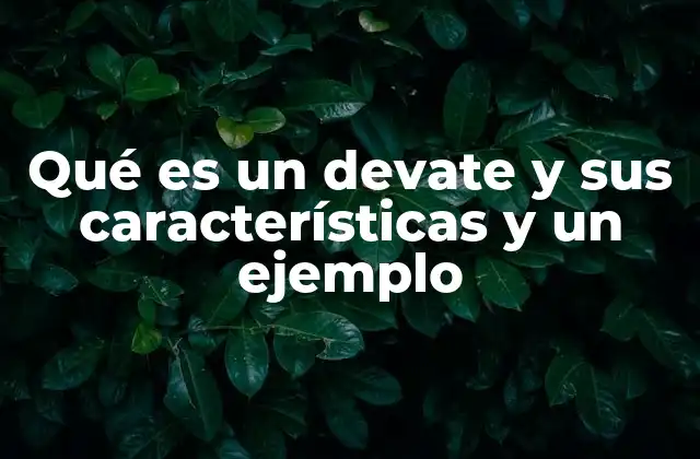 El devate como puente entre desarrollo y análisis