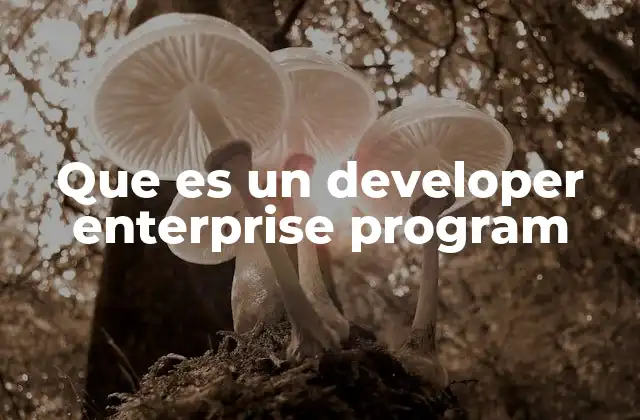 Que es un Developer Enterprise Program