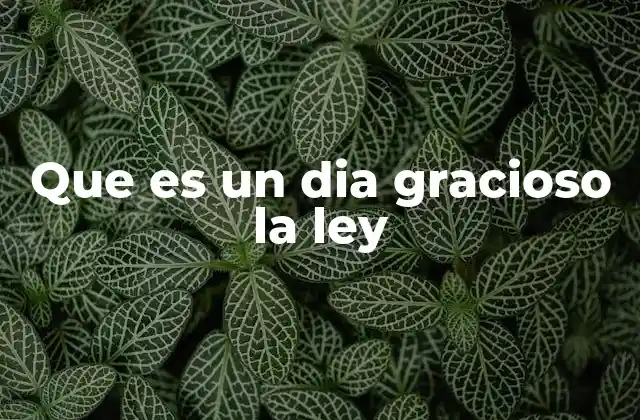 Que es un Dia Gracioso la Ley