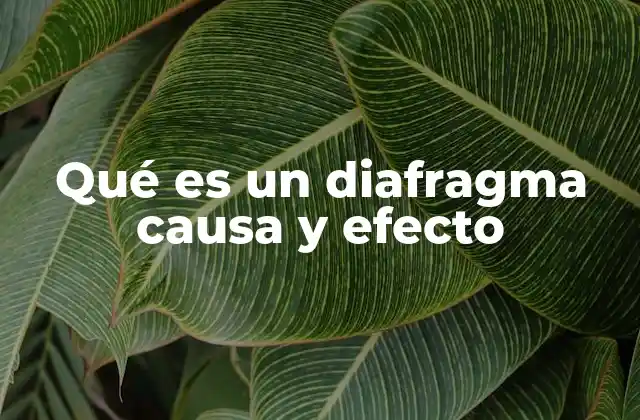 Qué es un Diafragma Causa y Efecto