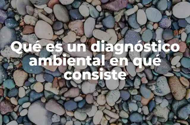 Qué es un Diagnóstico Ambiental en Qué Consiste